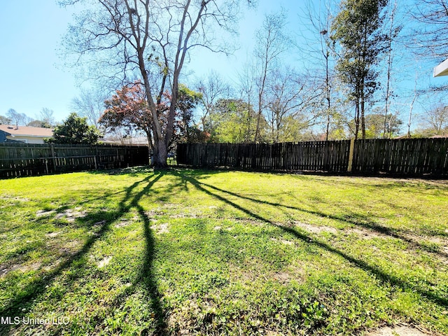 view of yard with a fenced backyard