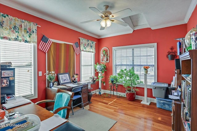 office space featuring crown molding, hardwood / wood-style floors, and ceiling fan