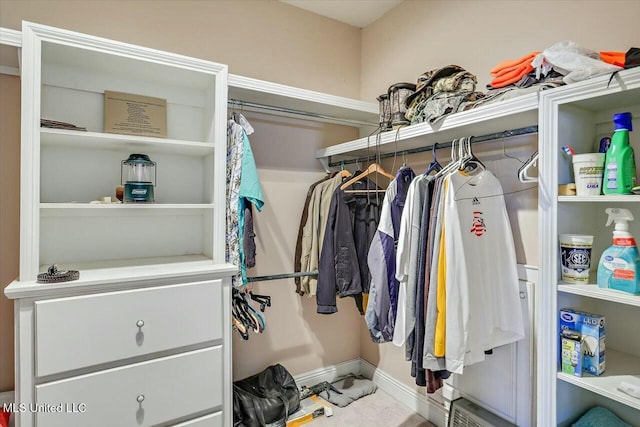 spacious closet featuring carpet flooring