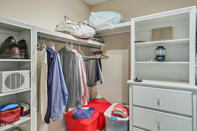 view of spacious closet