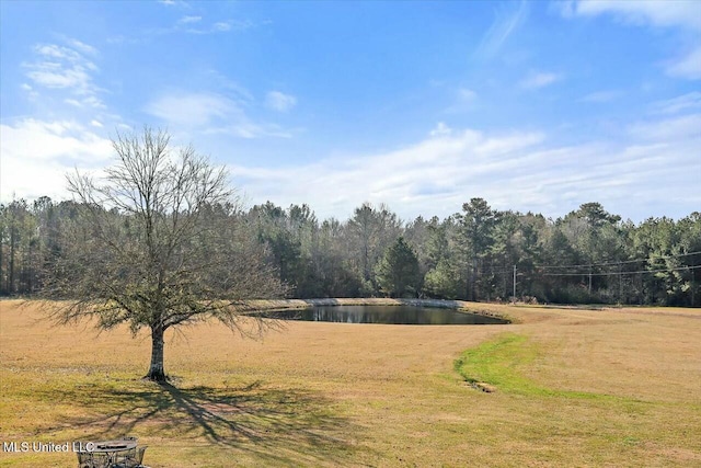 view of yard with a water view