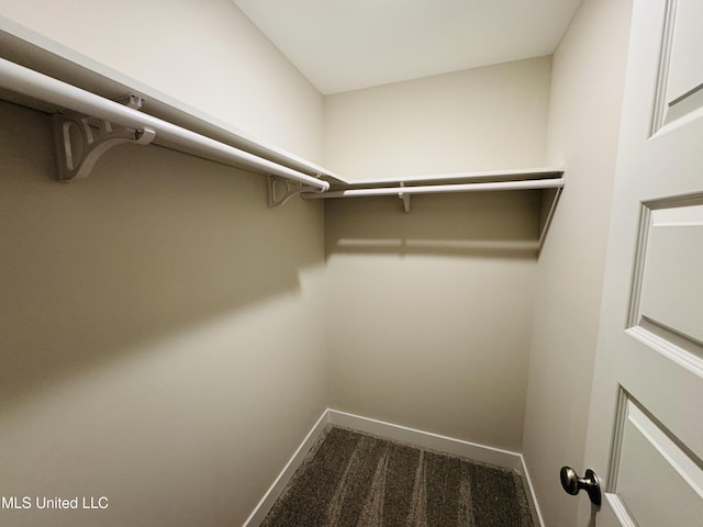 walk in closet with carpet