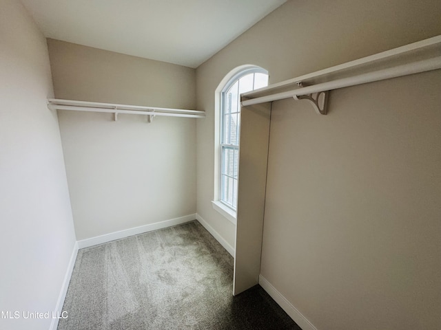spacious closet with carpet flooring