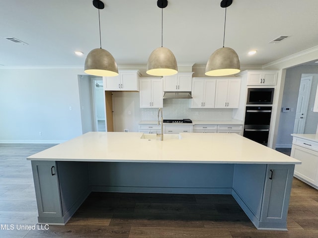 kitchen featuring ornamental molding, tasteful backsplash, white cabinetry, under cabinet range hood, and a sink