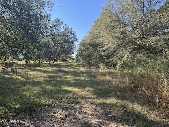 Robert Dubose Rd, Lumberton MS, 39455 land for sale