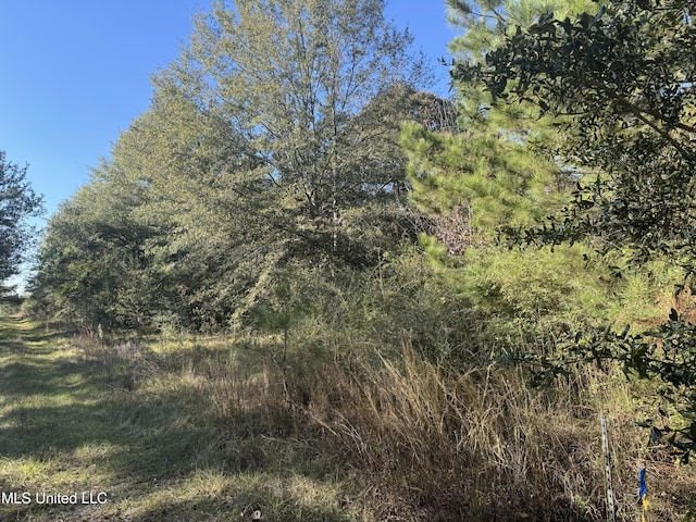 Listing photo 2 for Robert Dubose Rd, Lumberton MS 39455