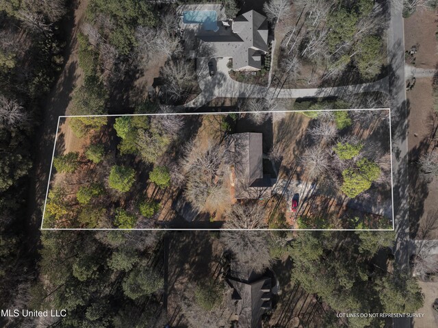 95 Sweet Bay Trl, Petal, MS 39465 - aerial view of property's location with property parcel outlined
