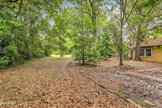 view of yard featuring a patio area