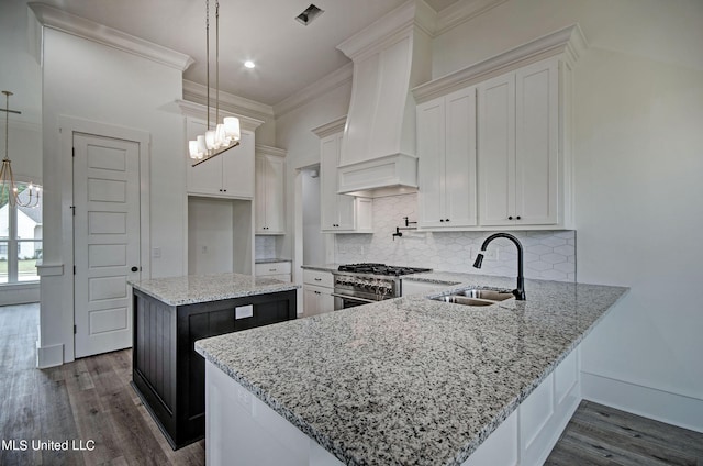 100 Grayson Way, Madison, MS 39110 - kitchen featuring high end stainless steel range oven, crown molding, custom range hood, and dark wood finished floors