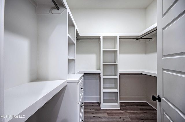 100 Grayson Way, Madison, MS 39110 - spacious closet featuring dark wood finished floors