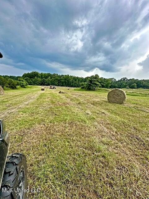 view of yard featuring a rural view