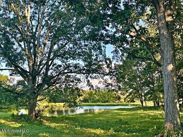 view of property's community featuring a water view and a yard