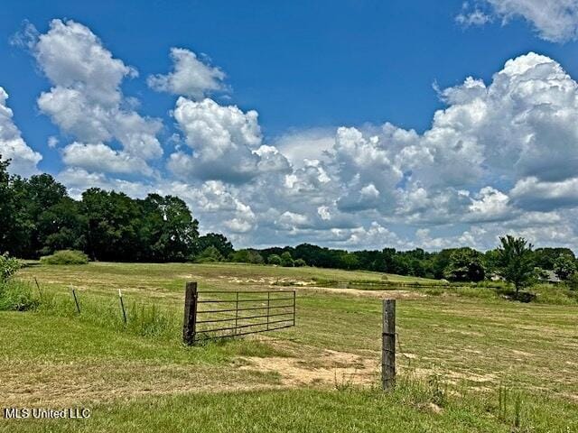 view of yard featuring a rural view and fence