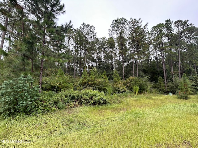 00 Sweet Birch Dr, Carriere MS, 39426 land for sale