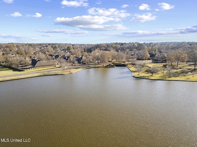 property view of water