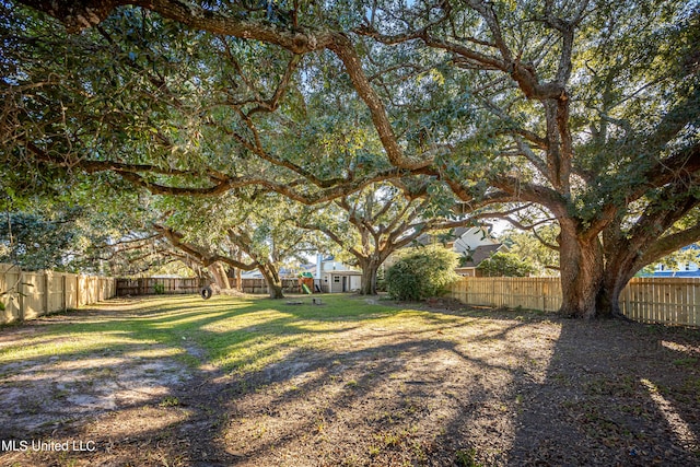 view of yard