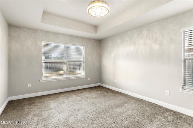 unfurnished room with carpet flooring and a raised ceiling