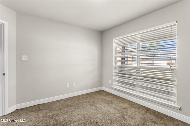 unfurnished room featuring carpet floors