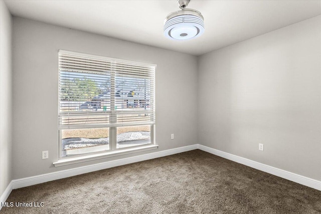 spare room featuring carpet floors