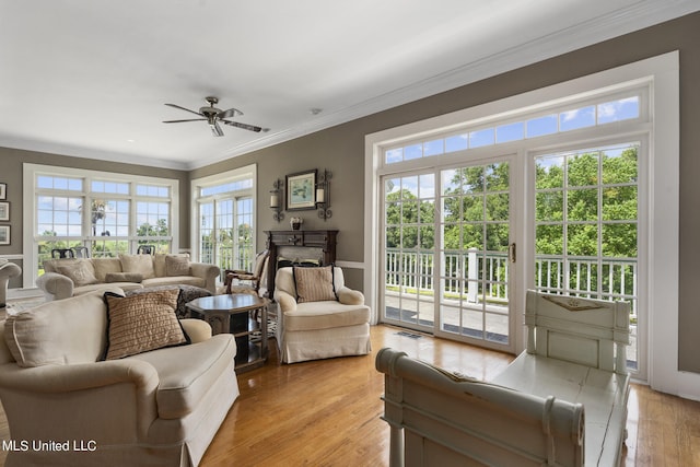 living room featuring crown molding, a wealth of natural light, light wood-type flooring, and ceiling fan