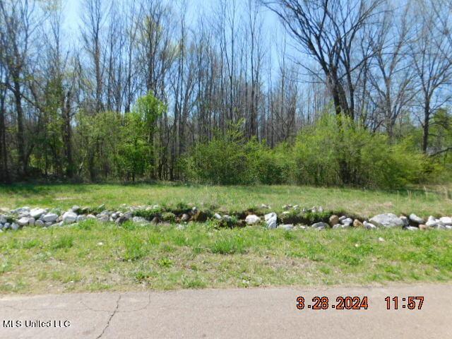 0 Stockade Dr, Olive Branch, MS 38654