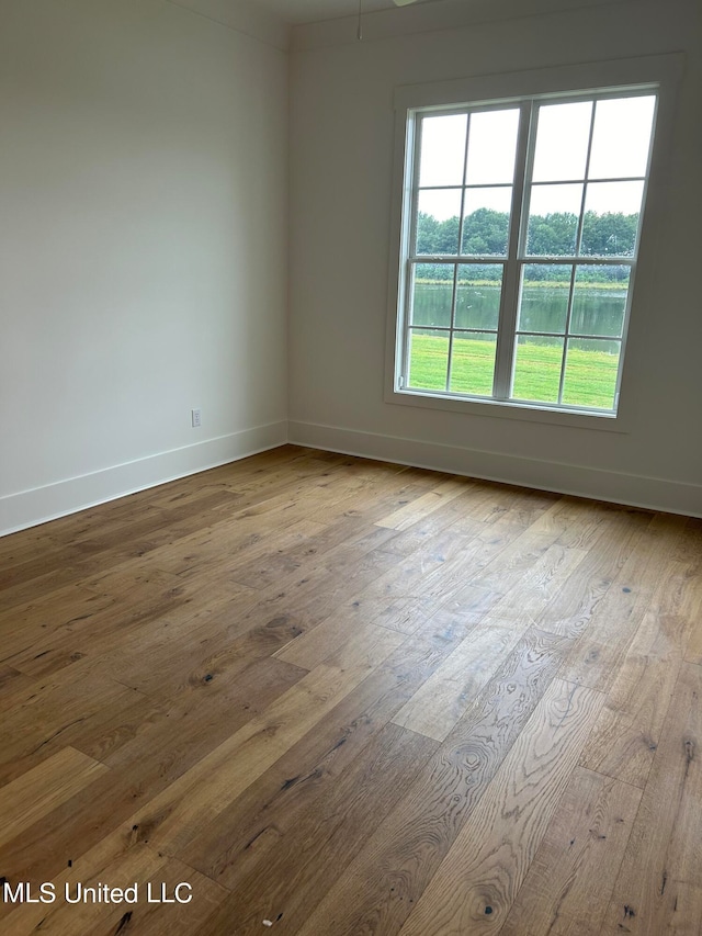 unfurnished room featuring light wood-type flooring