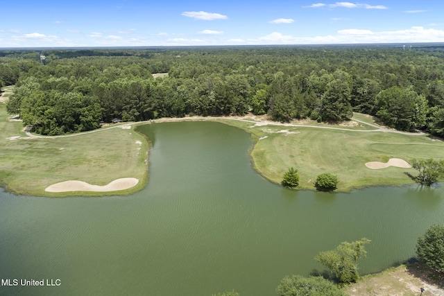 23 Callaway Ct, Hattiesburg, MS 39402 - drone / aerial view of a forest, a large body of water, and a local golf course