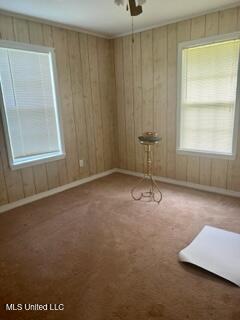 carpeted spare room featuring wooden walls, baseboards, and ceiling fan