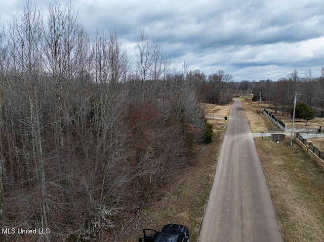 54 Shamrock Loop, Byhalia, MS 38611