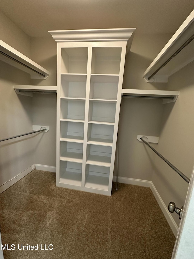 spacious closet featuring carpet
