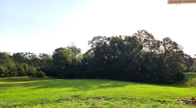 view of grassy yard