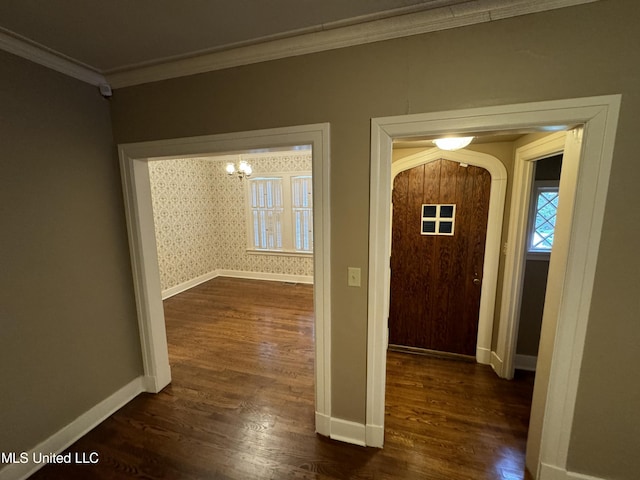 foyer featuring ornamental molding and dark hardwood / wood-style flooring