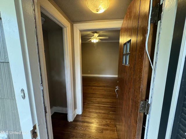 hall with dark hardwood / wood-style flooring