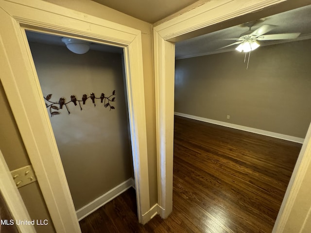 corridor featuring dark hardwood / wood-style floors