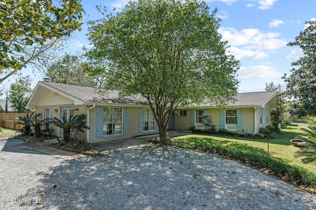 ranch-style house featuring a front yard