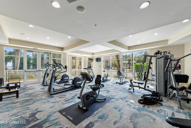 workout area with a healthy amount of sunlight and french doors