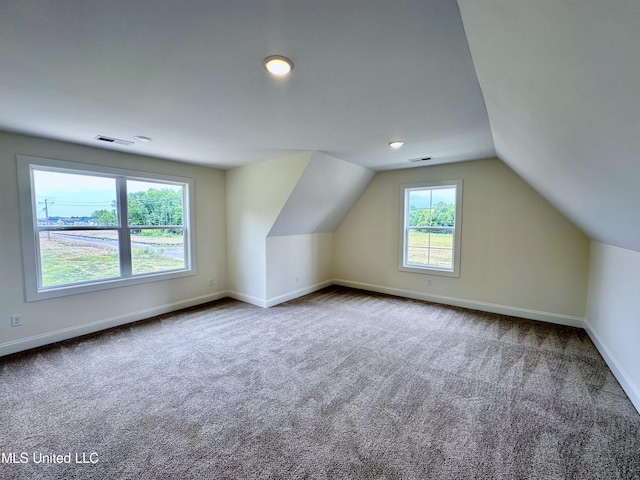 additional living space with carpet and lofted ceiling