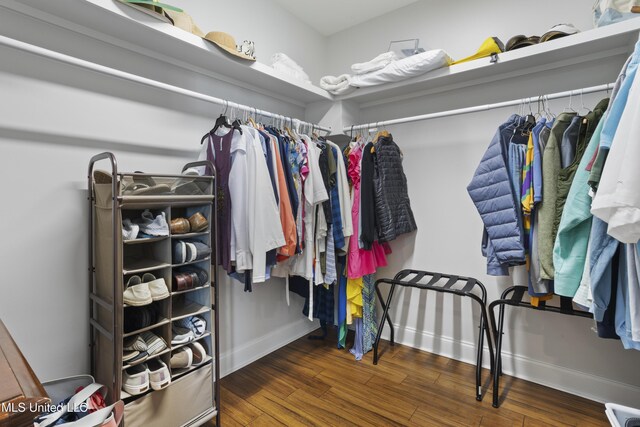 122 Aiken Rd, Waveland, MS 39576 - spacious closet with wood finished floors