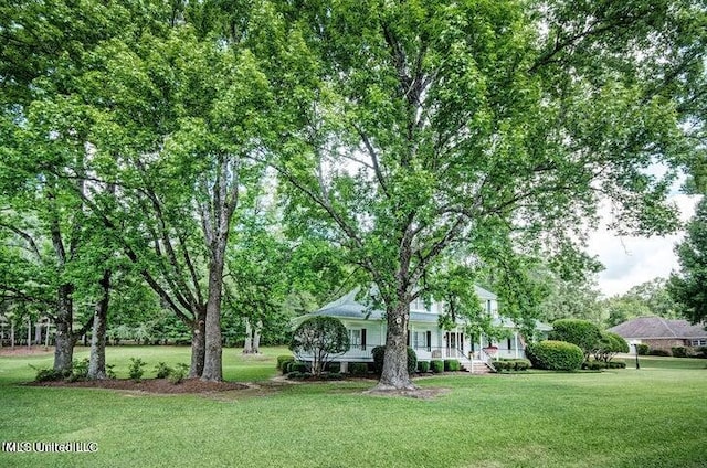 view of yard featuring covered porch