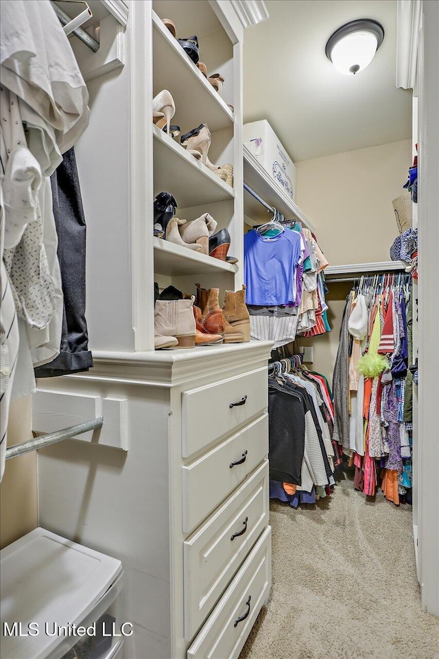 spacious closet with carpet floors