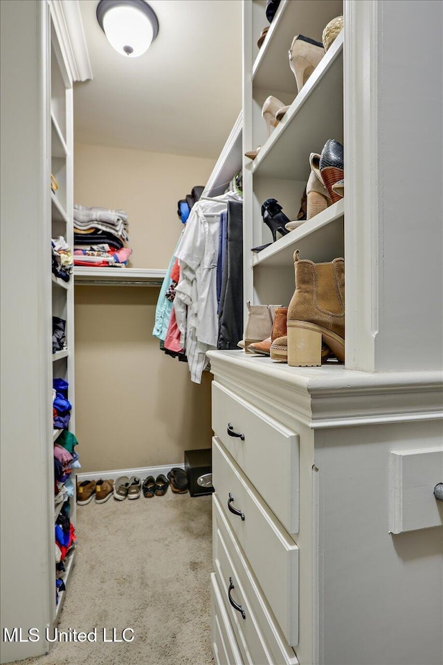 walk in closet featuring carpet floors