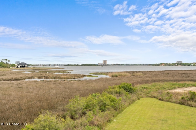 property view of water