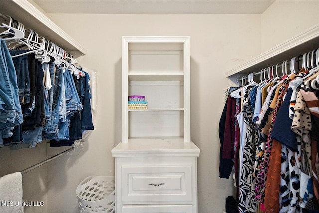 900 Redwood Cv, Byram, MS 39272 - view of spacious closet