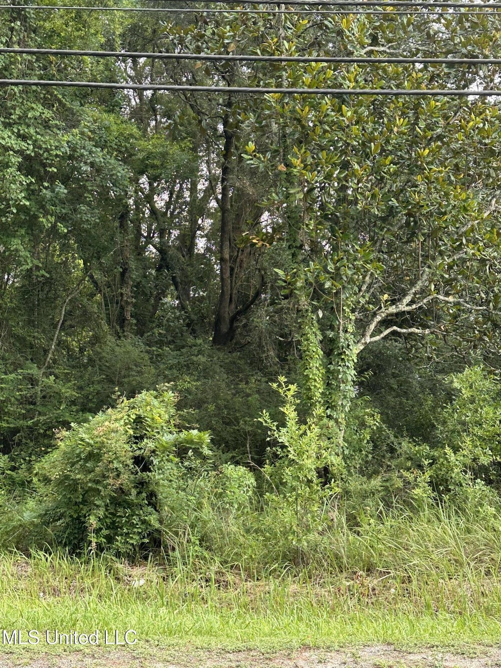 9872 Saracennia Rd, Moss Point, MS 39562