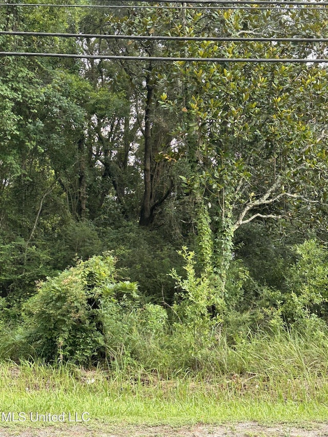 9872 Saracennia Rd, Moss Point, MS 39562