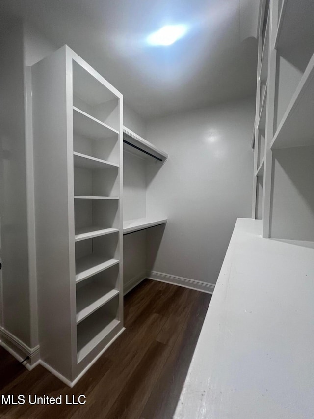 spacious closet with dark hardwood / wood-style flooring