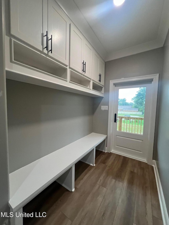 mudroom featuring dark hardwood / wood-style floors