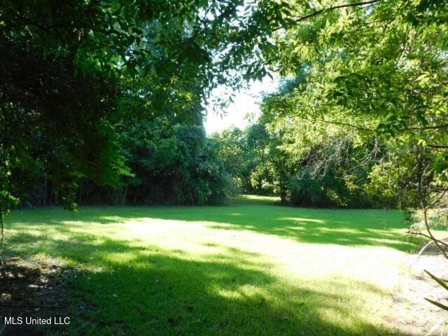 125 Riverside St, Vidalia, LA 71373 - view of yard