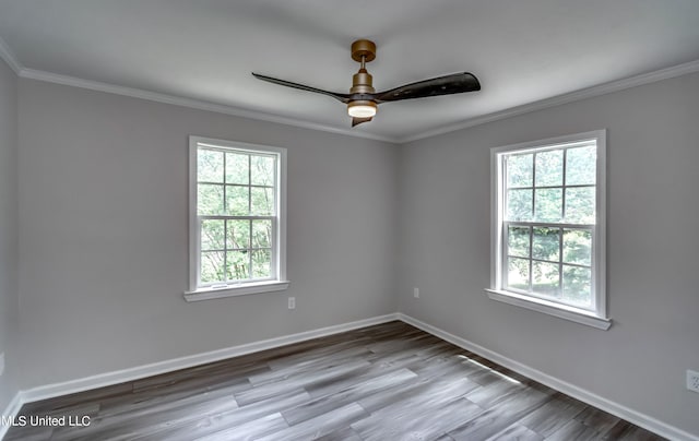 spare room with ceiling fan, wood-type flooring, and plenty of natural light