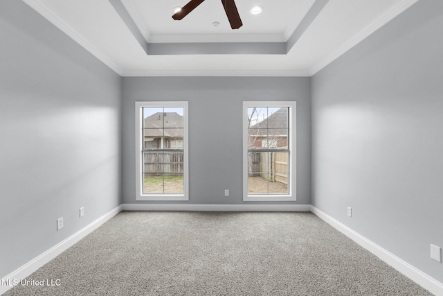 empty room with ornamental molding, carpet floors, and a tray ceiling